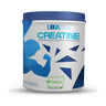 UBSA Creatine Monohydrate 300 g original product tub — PROTEIN DISTRICT Lebanon